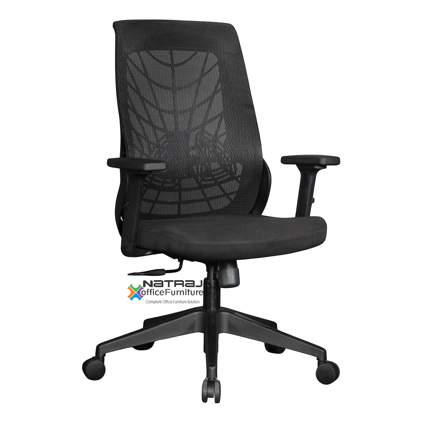 spider